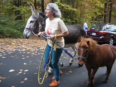 horse and donkey on a walk
