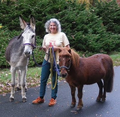 horse and donkey