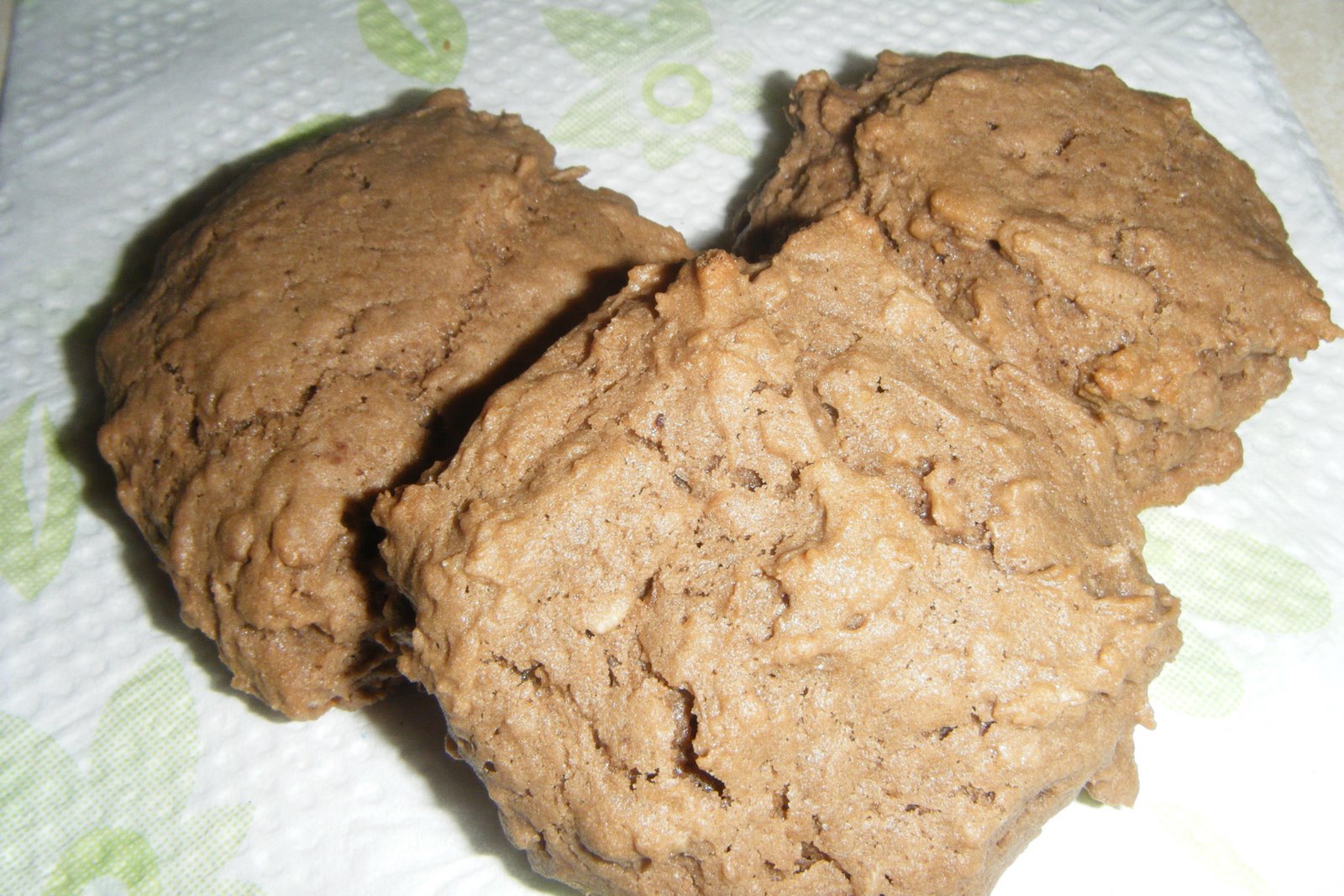 [2009_0624(ChocolatePBOatmealCookies.JPG]
