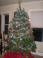 Our Christmas Tree 2008