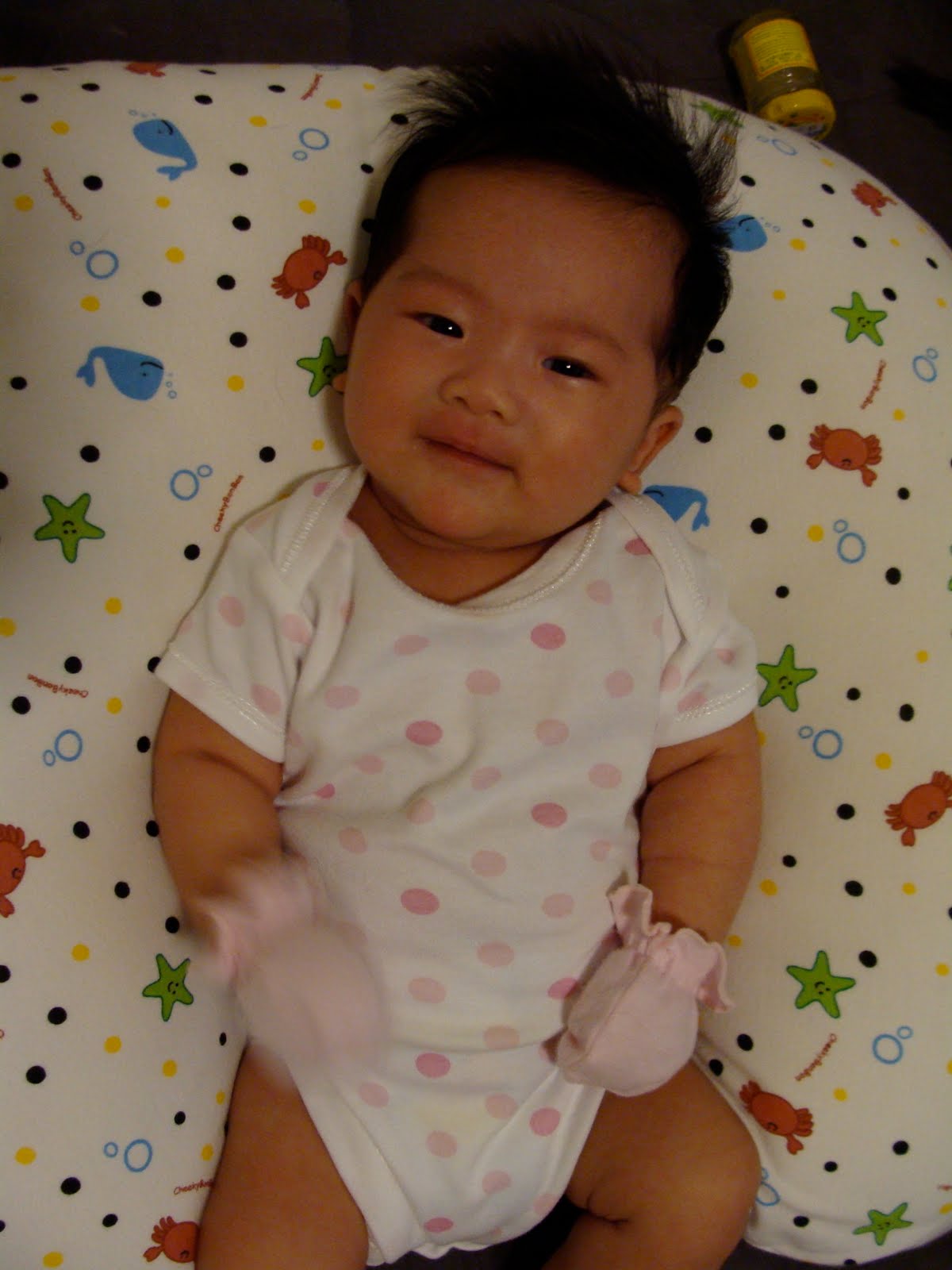 [DSC01564.JPG]