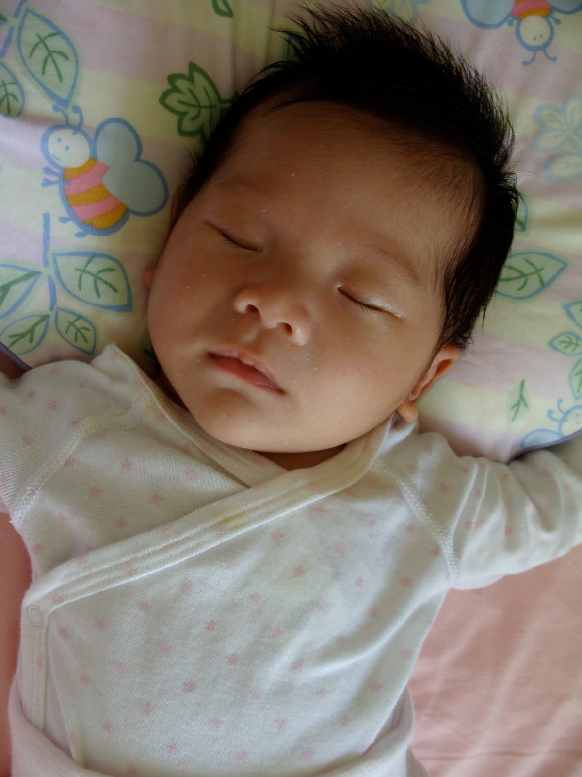 [DSC01330.JPG]