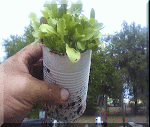 The Food Can Nursery