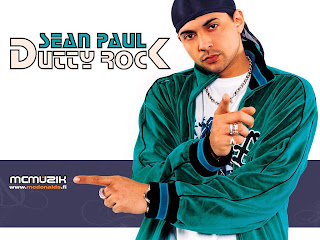 sean paul never gonna be the same