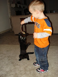 Little Girl Cat (And Joshua!)