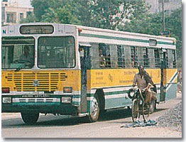 blue line bus blueline buses dtc accident deaths injured menace new delhi
