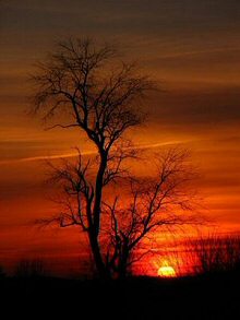 Sunrise