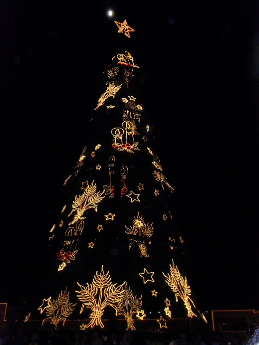 A Árvore símbolo do Natal Gaúcho é acesa!