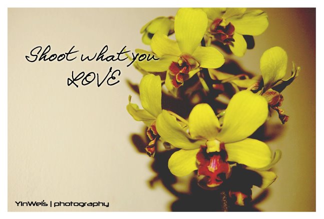 shootwhatyoulove