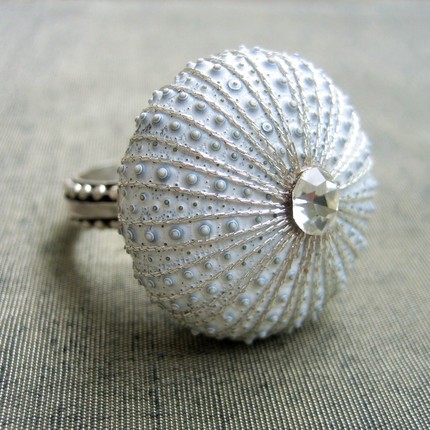 how do i love thee: sea urchin designs