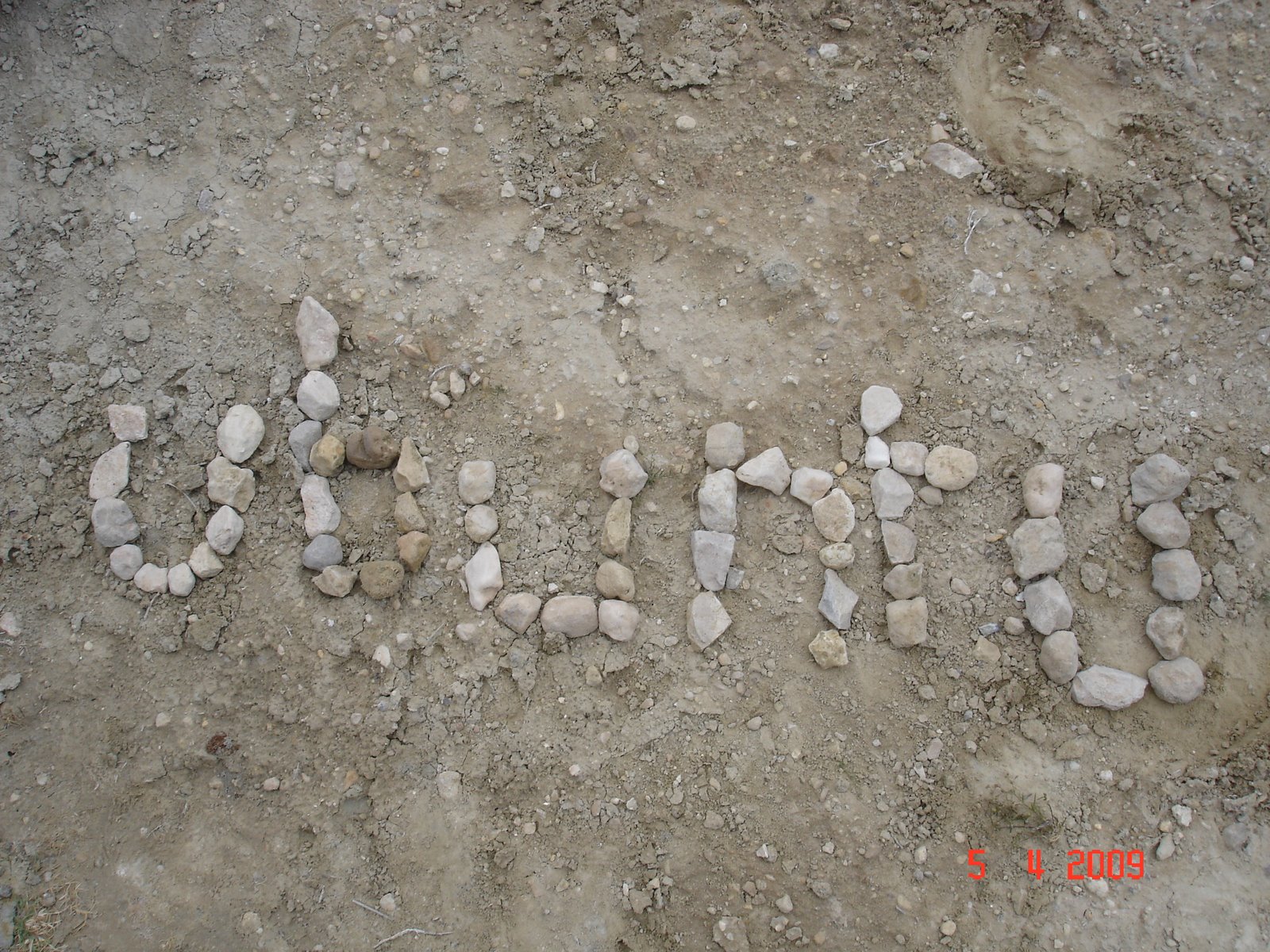 [DSC00803.JPG]