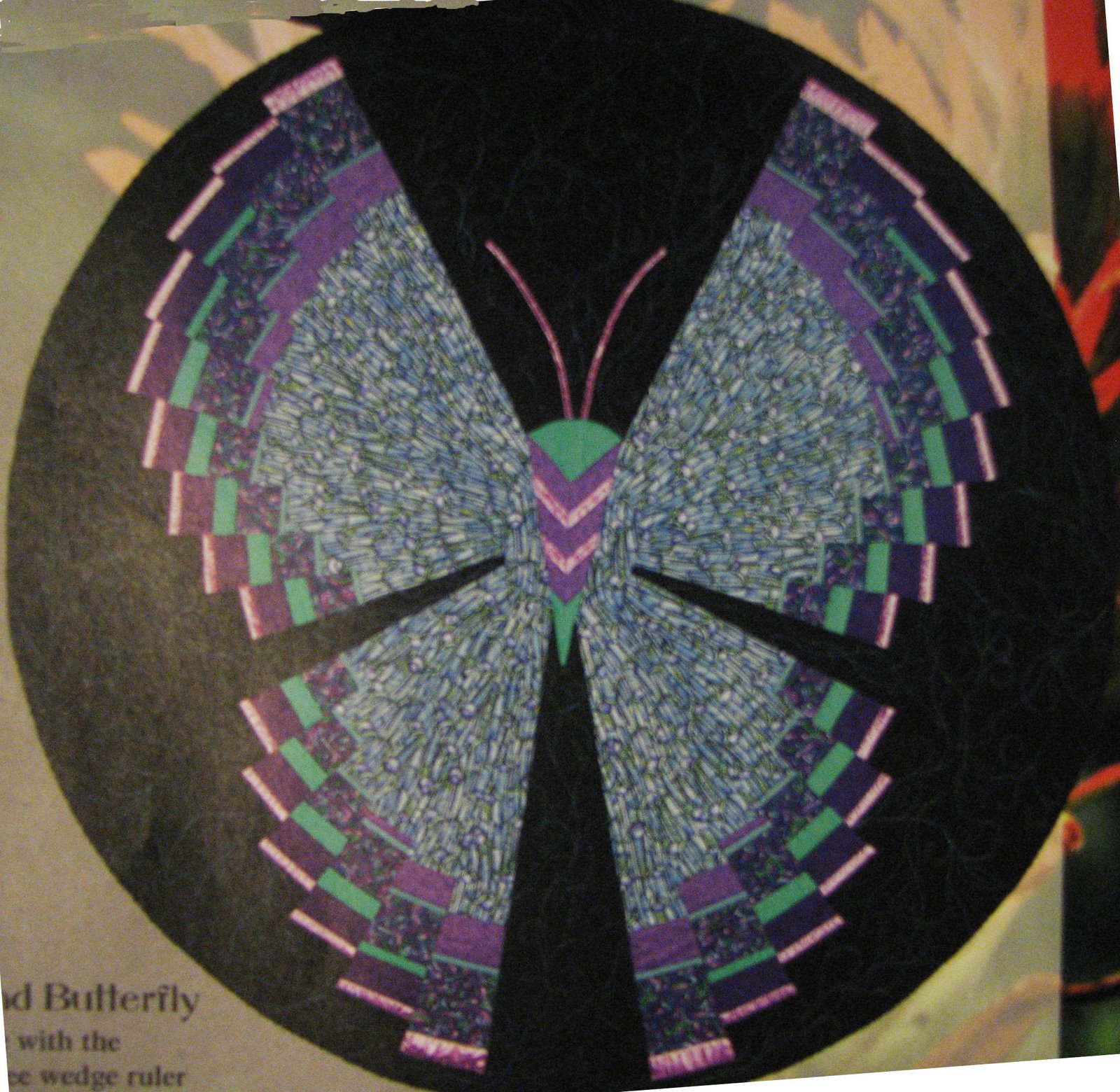 [butterfly-pic-for-web.jpg]