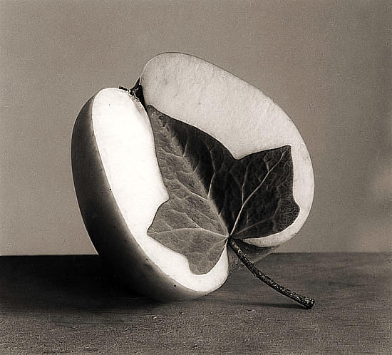 [manzana.jpg]