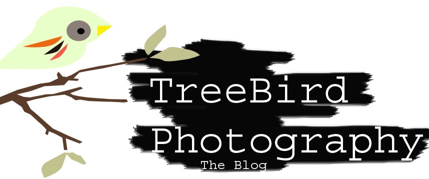 Treebird Photography