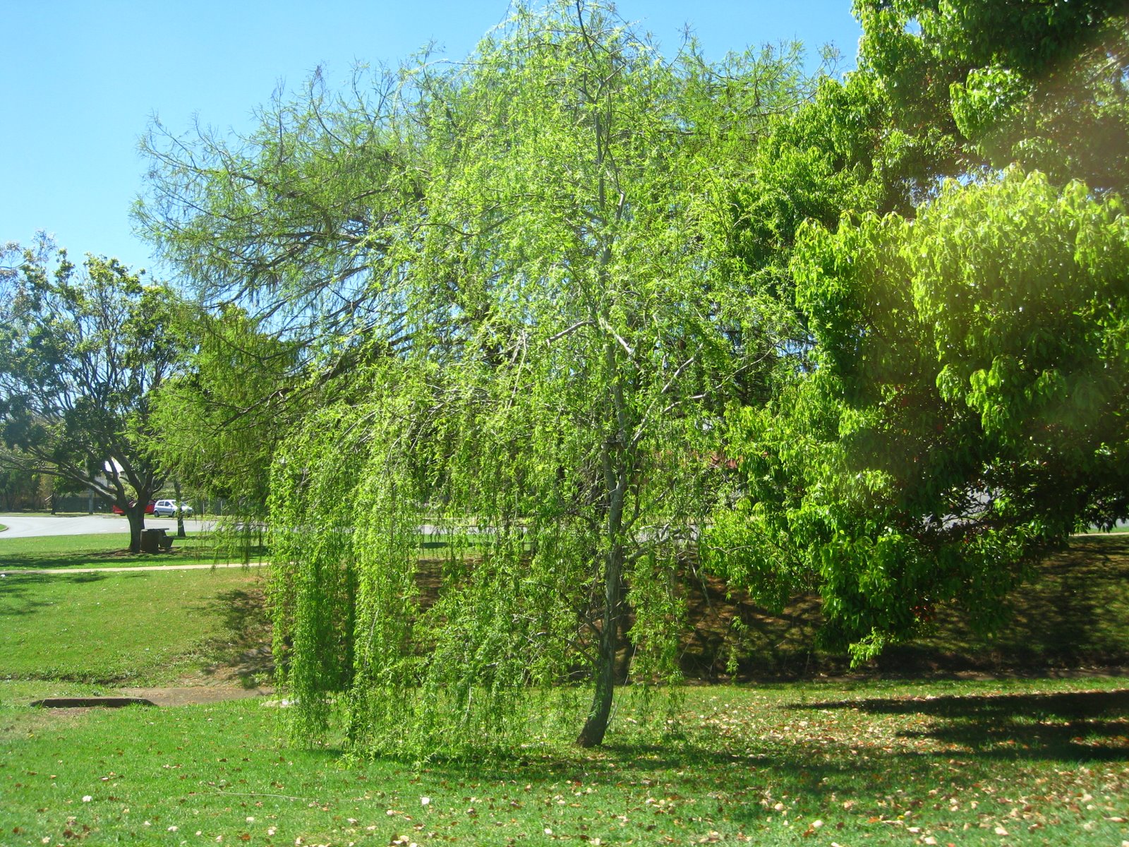 [IMG_5643.JPG]
