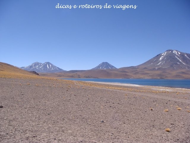 [laguna+miscanti+05.JPG]