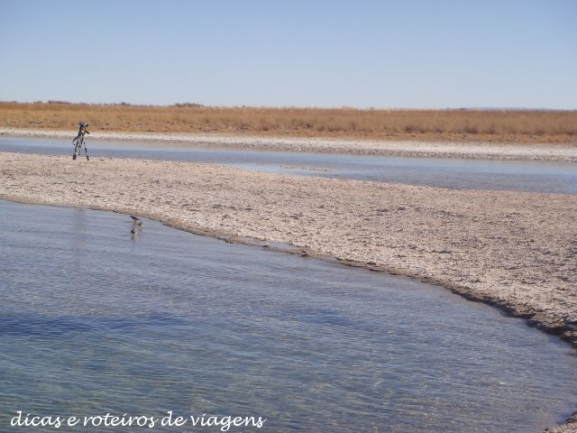 [Laguna+Cejar+02.JPG]