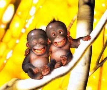 two funny monkeys cartoon