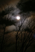 Winter Moon