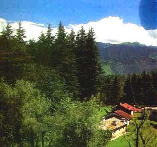 [ranikhet.jpg]
