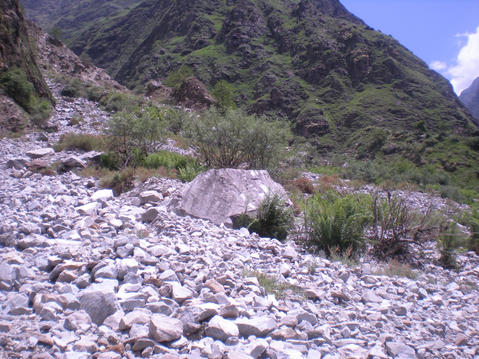 [DSCN0852.JPG]