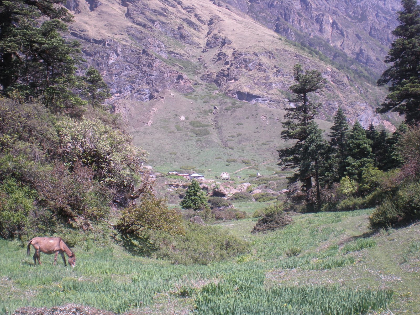 [DSCN0910.JPG]