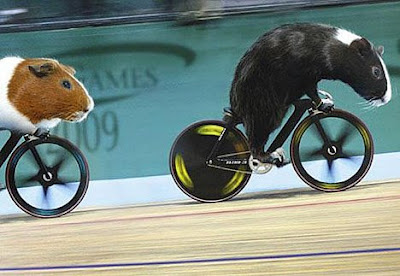 Grueling Guinea Pig Games of the 2009 Olympics