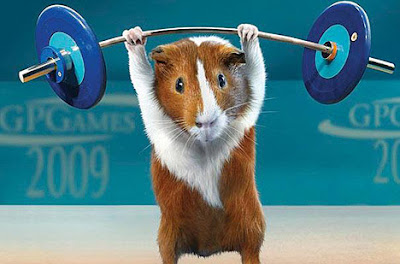 Grueling Guinea Pig Games of the 2009 Olympics