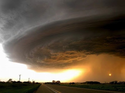 Violent Nature