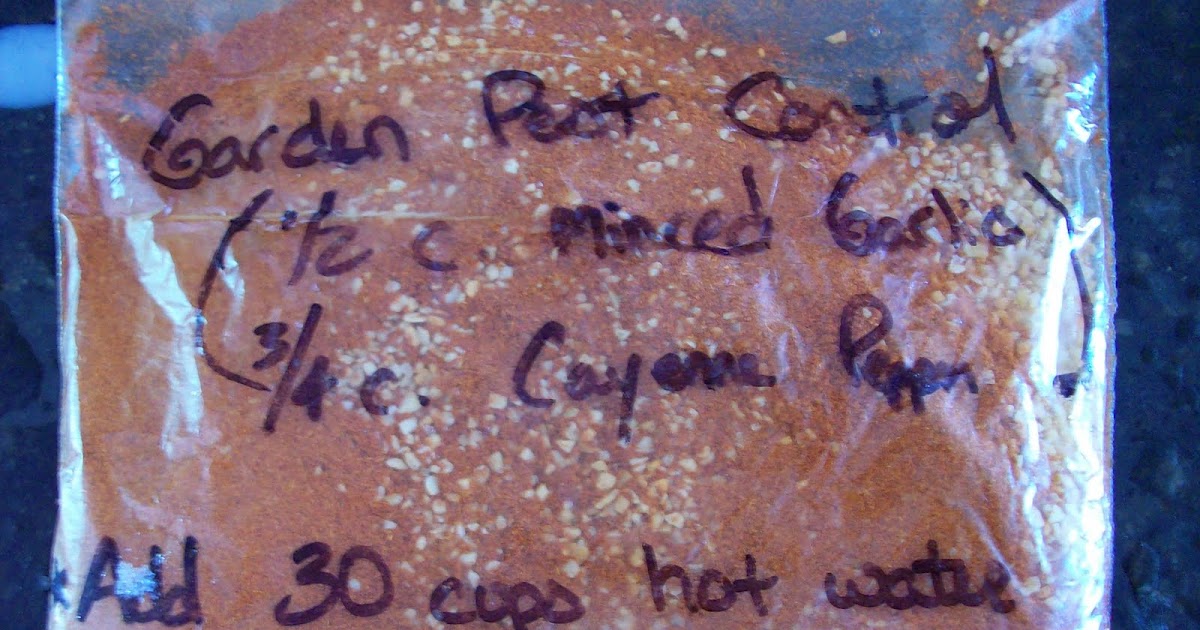 Homestead Roots Natural PEST CONTROL ants deterant Cayenne Pepper