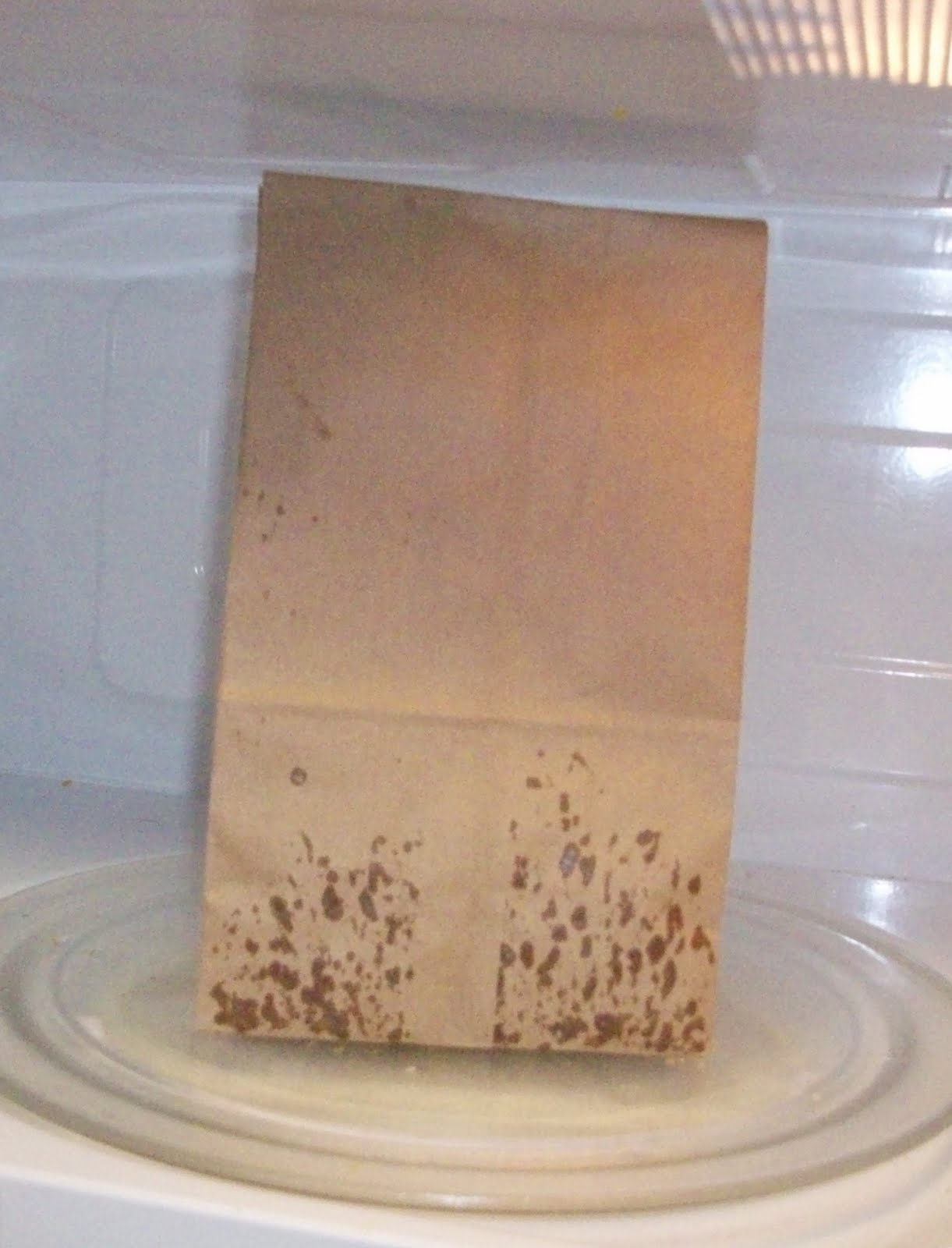 Homestead Roots Homemade Microwavable Popcorn with a brown paper bag