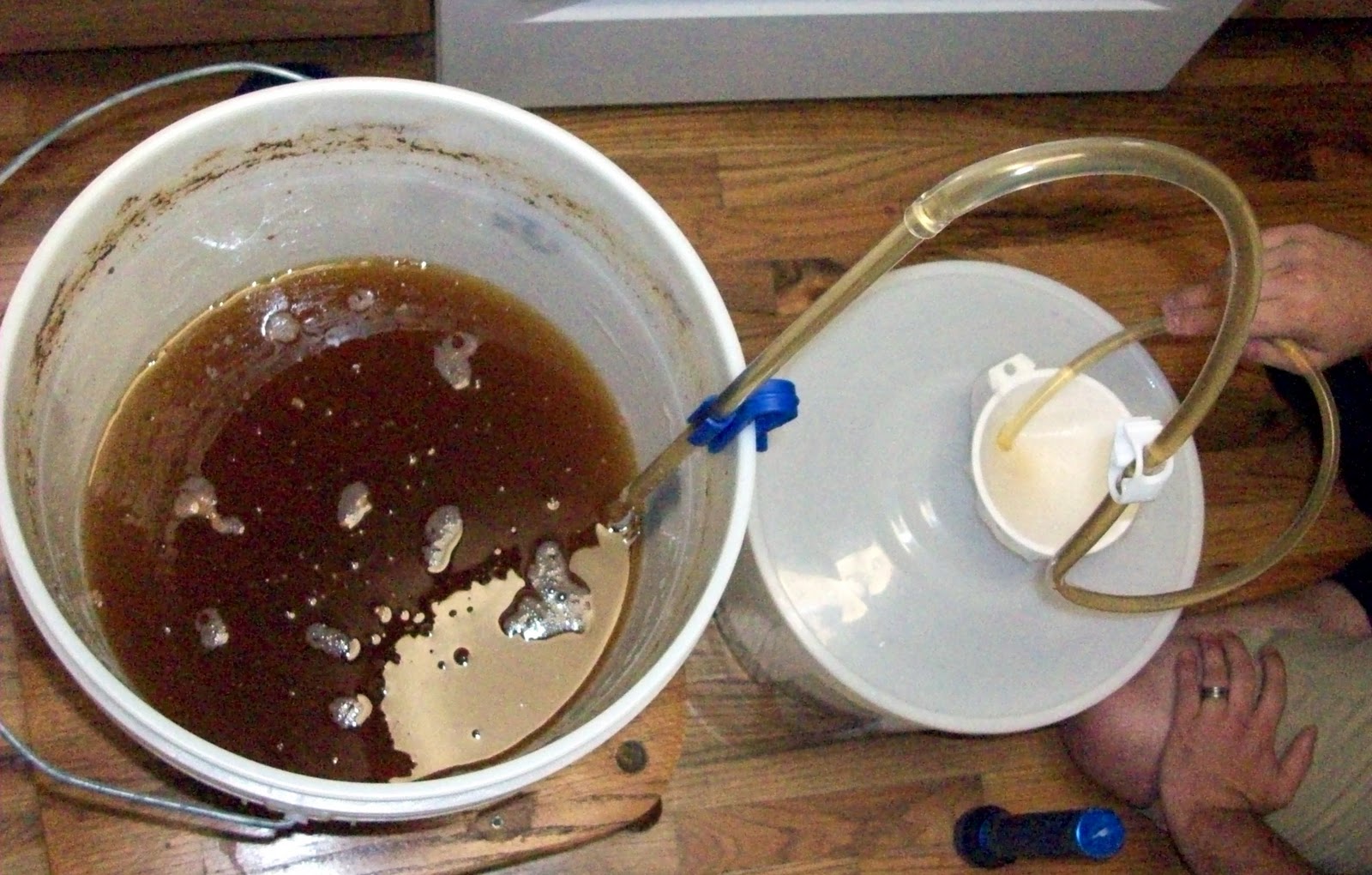 Homestead Roots Beer Brew Continental Pilsner Phase 2