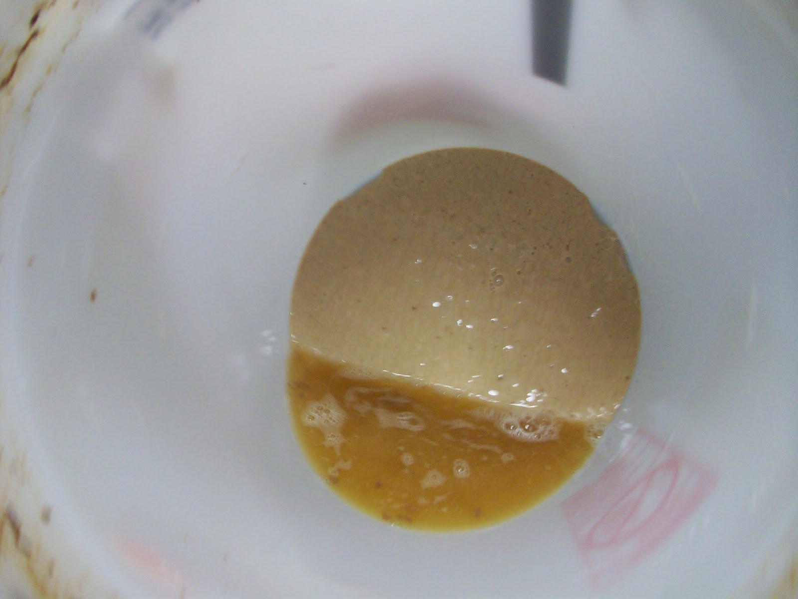 Homestead Roots Beer Brew Continental Pilsner Phase 2