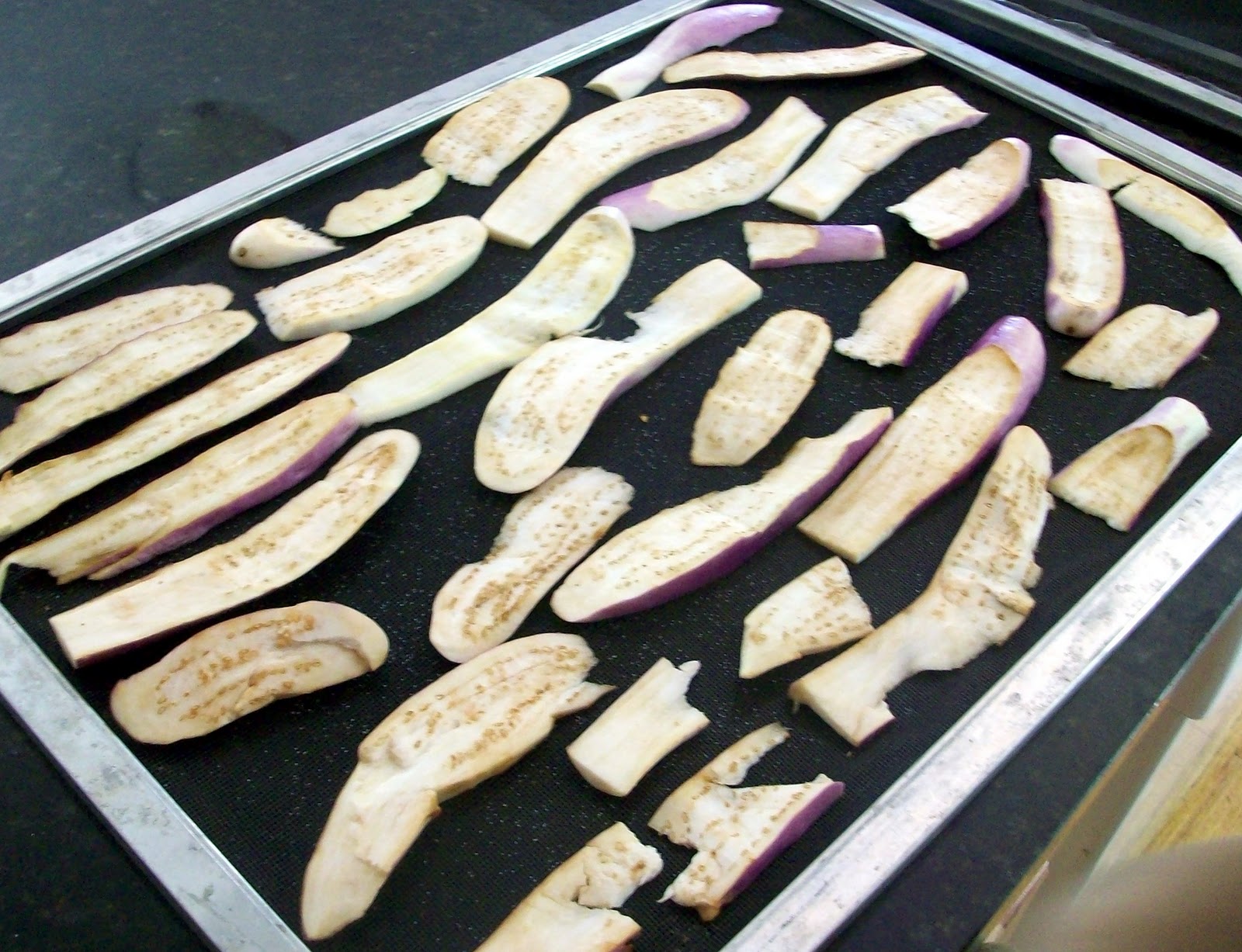 Homestead Roots Dehydrating Eggplant