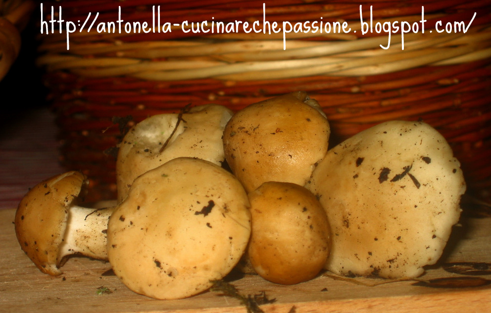 Antonella&hellip;Cucinare, che Passione ! Fusillli con i prugnoli