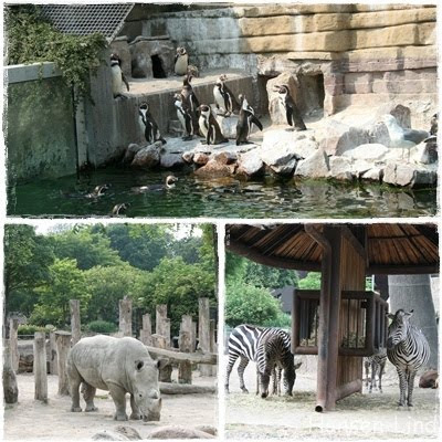 lind trup zoo radius lind trup zoo radius