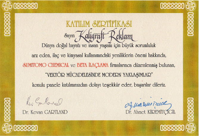kaligrafi katılım sertifikası örnek