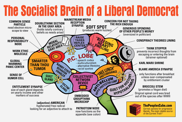 http://4.bp.blogspot.com/_bstXBEDnG9w/TRDqSsKf06I/AAAAAAAAERY/6ChTq3tfOq8/s1600/Brain_Socialist_revised.png