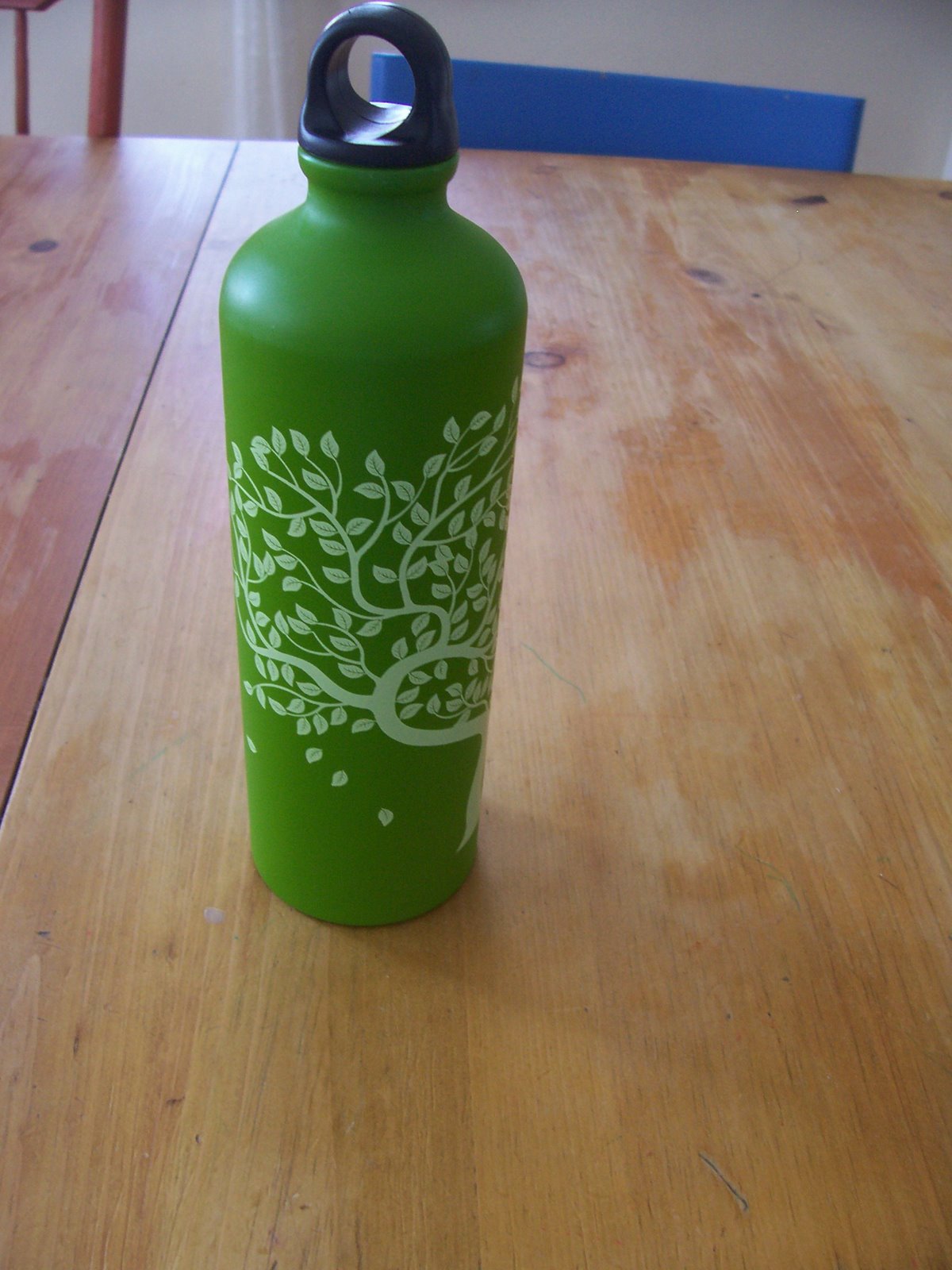 [PY+Water+Bottle.JPG]