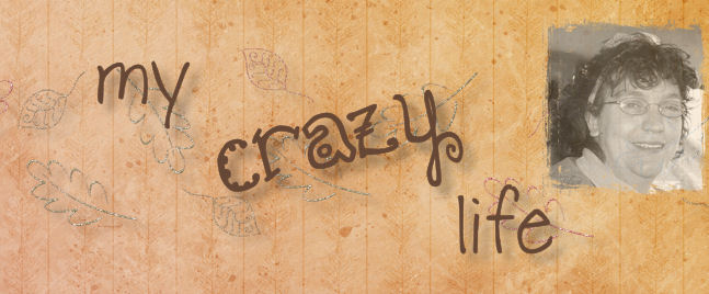 My Crazy Life