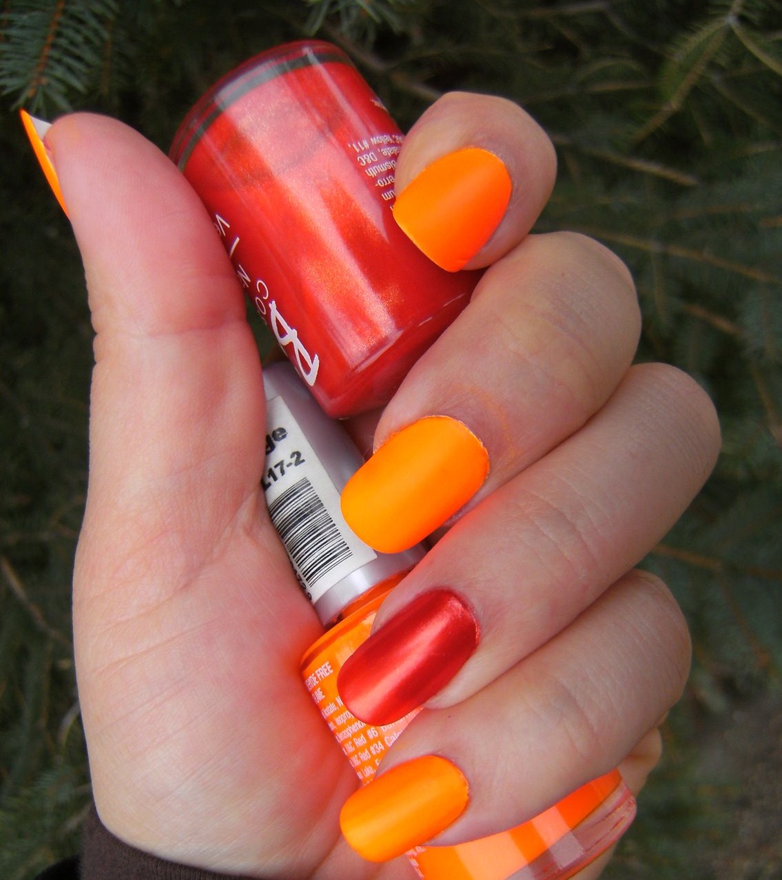 [BILLIE+ORANGE+&+BILLIE+BURNING+HOT+(3).JPG]