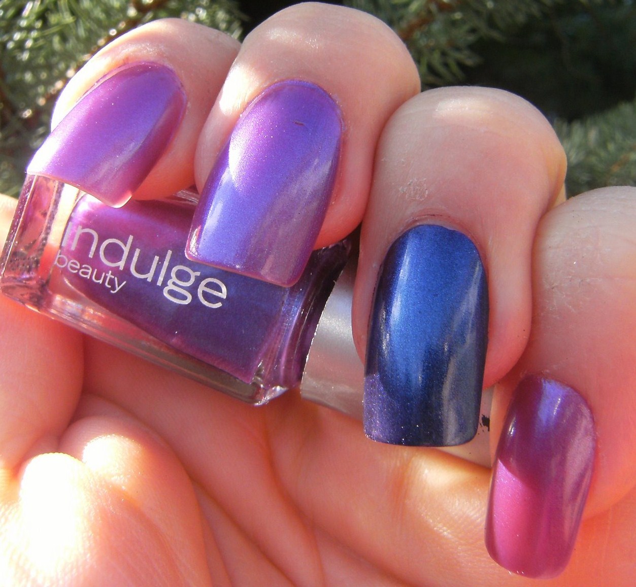 [INDULGE+-+PURPLE+-++(6).JPG]