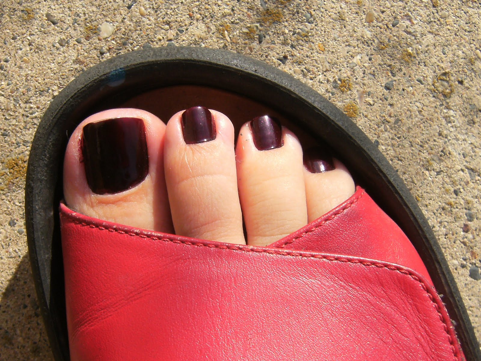 [SALLY+HANSEN'FLIRT'+---DEEZ-NAILZ---.JPG]