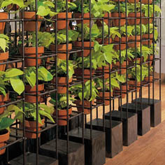 [verticalgarden.jpg]