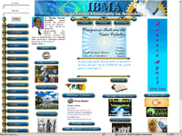 IBMA