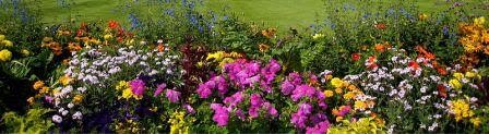 We ensure that their garden highlight your home