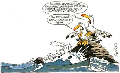 γλαροι γλαροι