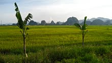 Ninh Binh