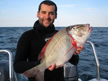 Pargo Imperador