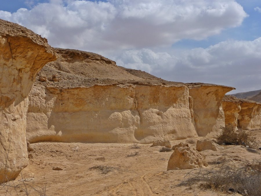 [Wadi.jpg]